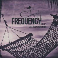 VA - Chill Frequency, Vol.05 (2025) MP3