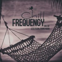 VA - Chill Frequency, Vol.02 (2025) MP3