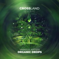 VA - Organic Drops (2025) MP3
