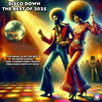 VA - Disco Down The Best of 2025 (2025) MP3