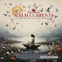 VA - Calm Currents (2025) MP3