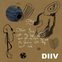 DIIV - Oshin (2012) MP3