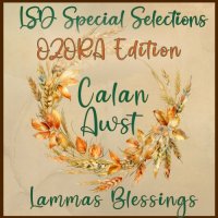 VA - LSD Special Selections Vol. 16. CALAN AWST. Ozora Edition (2025) MP3