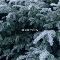 VA - DP-6 - Re2025view (2025) MP3