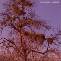 VA - Ultimate Chillout & Lounge Beats (2024) MP3