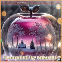 VA - Collection Of House Styles 28 [Compiled by tokarilo] (2025) MP3
