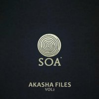 VA - Akasha Files, Vol. 2 (2025) MP3