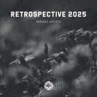 VA - Retrospective 2025 (2025) MP3