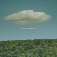 VA - Soft Reverie, Vol. 1 (2026) MP3