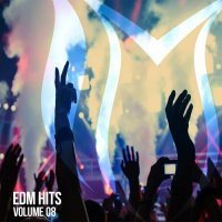 VA - EDM Hits, Vol. 8 (2026) MP3