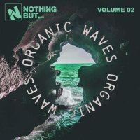 VA - Nothing But... Organic Waves, Vol. 02 (2025) MP3