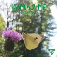 VA - Remind Me, Vol. 11 (2025) MP3