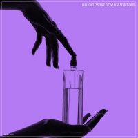 VA - Chillout Essence Flow Best Selections (2026) MP3