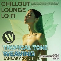 VA - Tropical Tone Weaving (2026) MP3