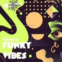 VA - Nothing But... Funky Vibes, Vol. 13 (2026) MP3