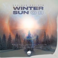 VA - Winter Sun 08 (2026) MP3
