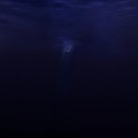 Said The Sky - Salt & Silence (2026) MP3