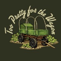 Matt Robertson - Too Pretty For The Wagon (2026) MP3