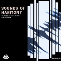 VA - Sounds of Harmony Remix Collection (2026) MP3