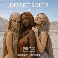 VA - Desert Souls, Vol.1 (2026) MP3