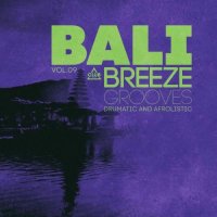 VA - Bali Breeze Grooves, Vol.09 (2026) MP3
