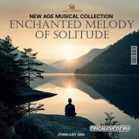 VA - Enchanted Melody Of Solitude (2026) MP3