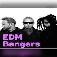 VA - EDM Bangers (2026) MP3