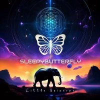 Sleepybutterfly - Little Universe (2025) MP3