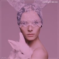 VA - Chillout & Lofi Vibes 2026 (2026) MP3