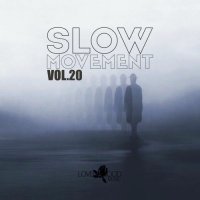 VA - Slow Movement, Vol. 20 (2026) MP3