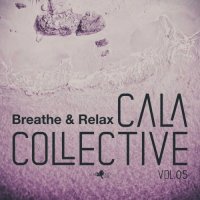 VA - Cala Collective, Vol.05 (2025) MP3