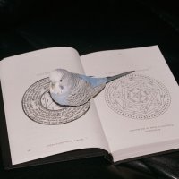 Omnihell - Extreme Suffering (2026) MP3