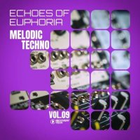 VA - Melodic Techno: Echoes of Euphoria, Vol.09 (2026) MP3
