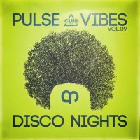 VA - Pulse, Vibes & Disco Nights, Vol.09 (2026) MP3