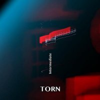 tORN - Intermediate (2026) MP3
