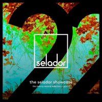 VA - Selador Showcase 22, Pt. 2 (2026) MP3