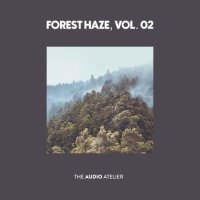 VA - Forest Haze, Vol. 2 (2026) MP3