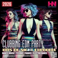 VA - Bits Of Night Euphoria (2026) MP3