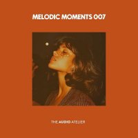VA - Melodic Moments 007 (2026) MP3