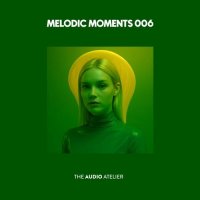 VA - Melodic Moments 006 (2025) MP3