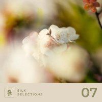 VA - Silk Selections 07 (2026) MP3