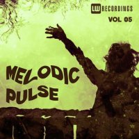 VA - Melodic Pulse, Vol. 05 (2026) MP3