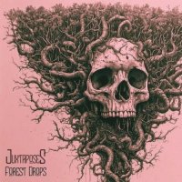 Juxtaposes - Forest Drops (2026) MP3