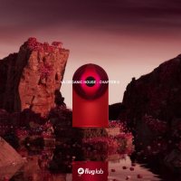 VA - Organic House - Chapter II (2025) MP3