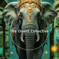 VA - The Orient Collective: Tribal Horizons (2026) MP3
