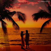 VA - Sunset Chillout Collection (2026) MP3