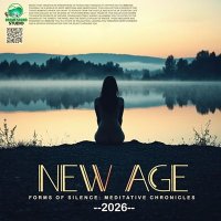 VA - Forms Of Silence (2026) MP3