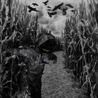 Sickboyrari - Posted Where the Scarecrows Play (2026) MP3