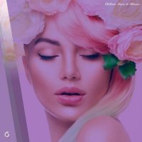 VA - Chillout Music in Bloom (2026) MP3