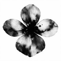 Edoquarto - Free Fall, Summer Tales (2026) MP3